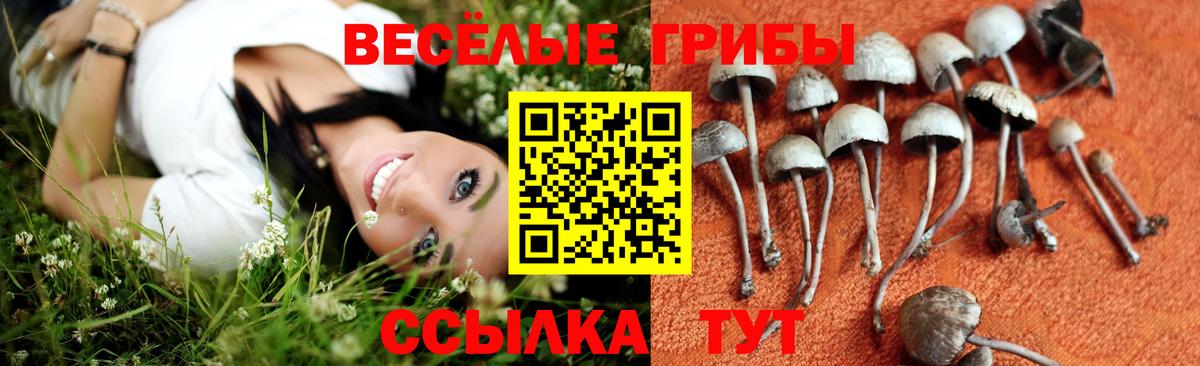 Псилоцибиновые грибы ЛСД Бутурлиновка
