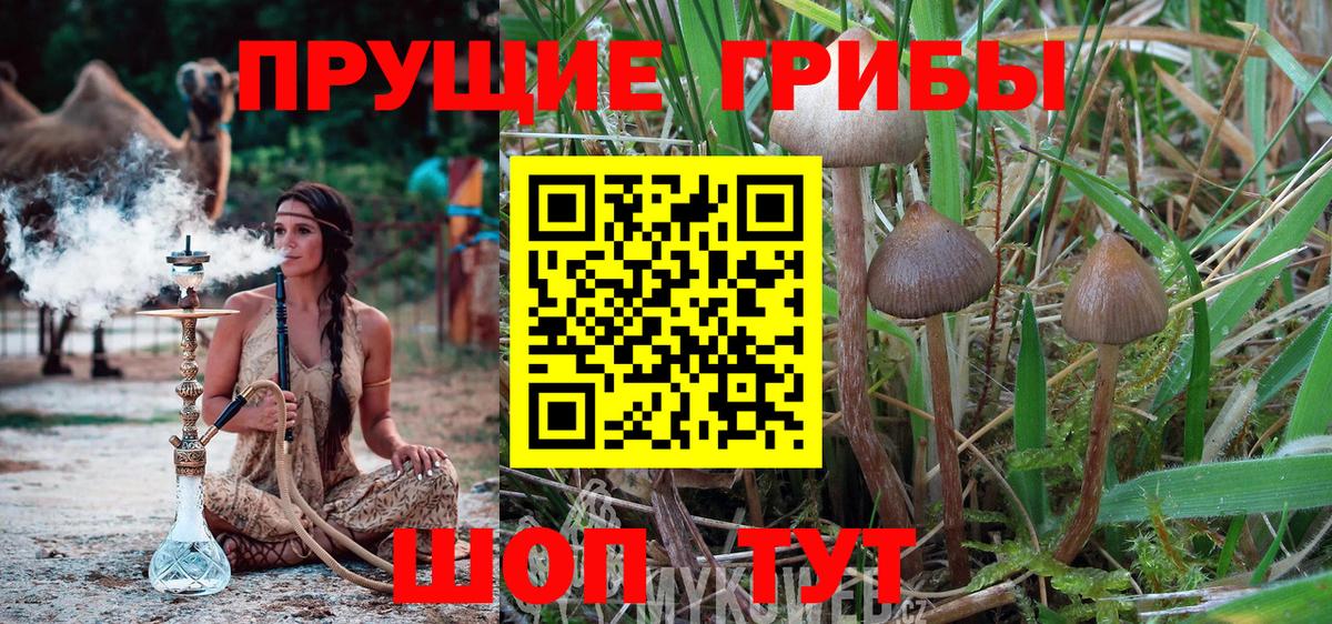 Галлюциногенные грибы Magic Shrooms  купить наркоту  Бутурлиновка  Вход с VPN 